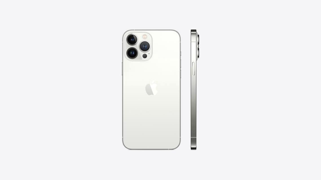 Iphone 13 Pro Max Zilver