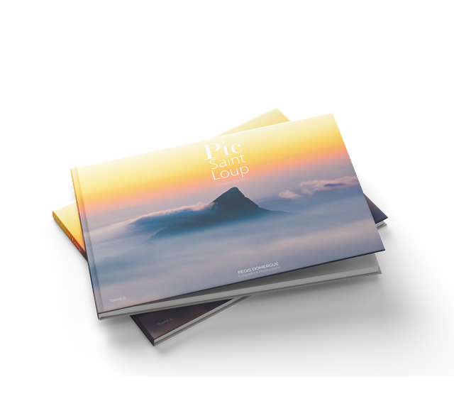 Le Pic Saint-Loup, tome 5