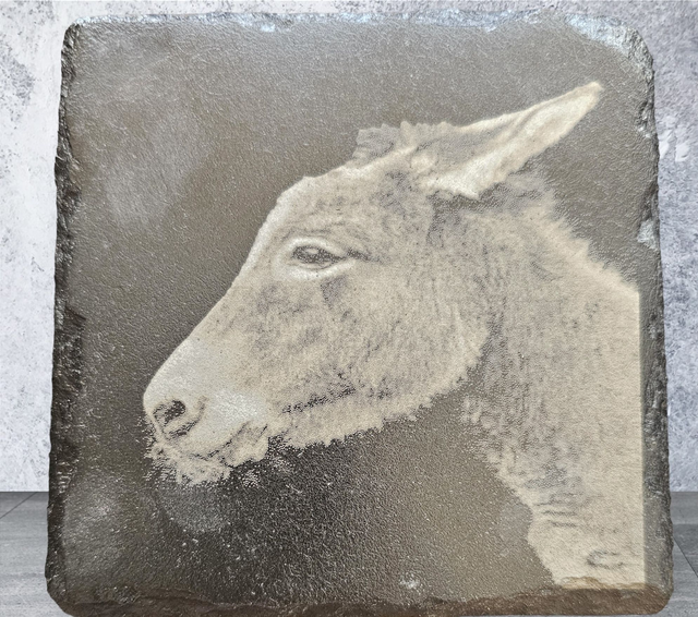 Slate Coaster - Donkey
