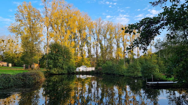 carte cadeau sur un séjour au domaine 