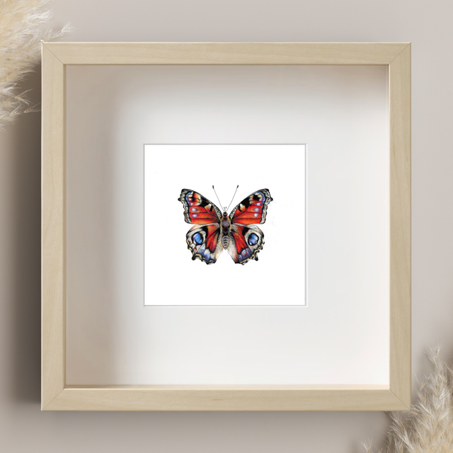 Papillon Paon-du-jour