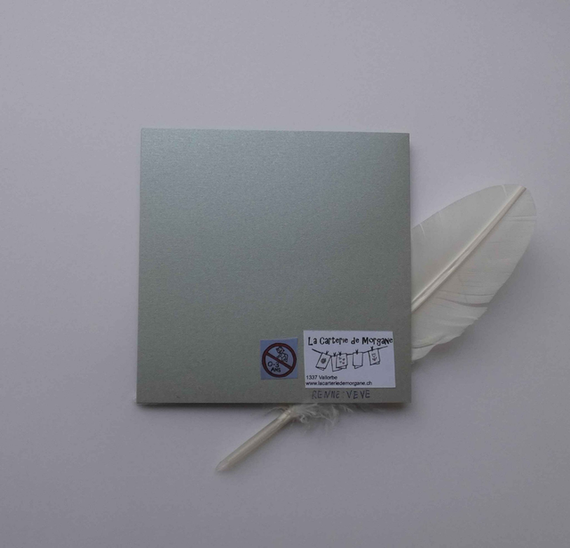 Le sapin et le renne