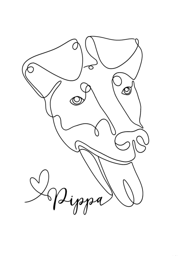 Dog Portrait Line Drawings