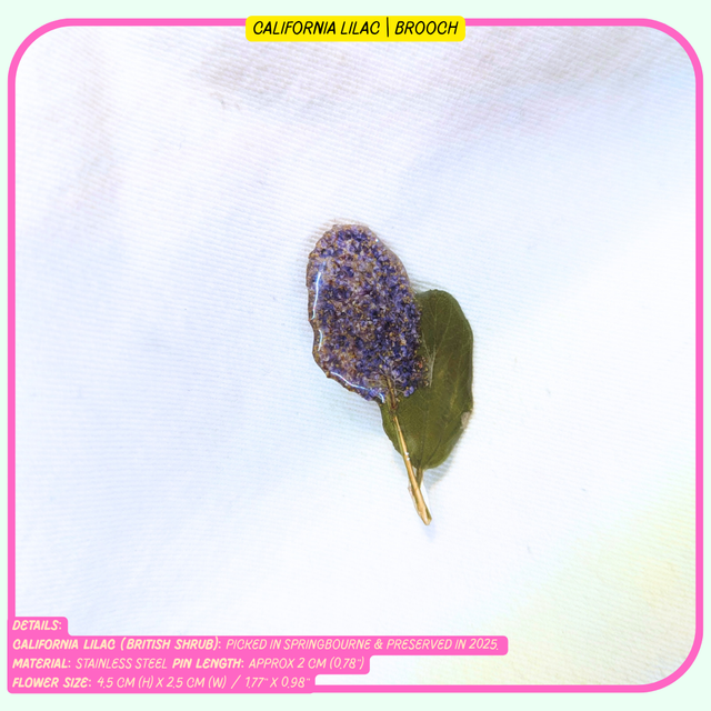 Full Foliage Brooches | Real Plants & Flowers