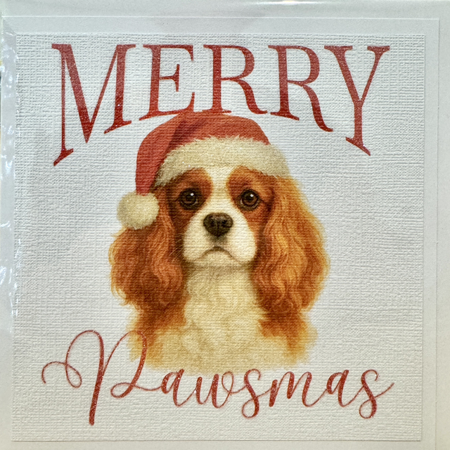 Cavalier King Charles Pawsmas Card