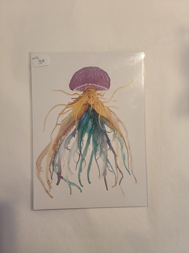 Carte N12