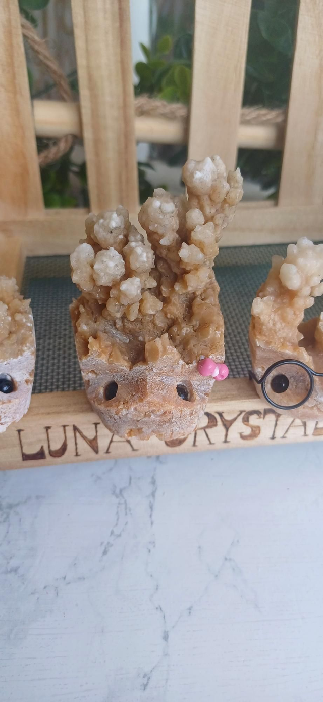 Clove - Crystal Critter