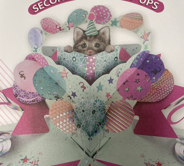 Cat & balloons pop out birthday card