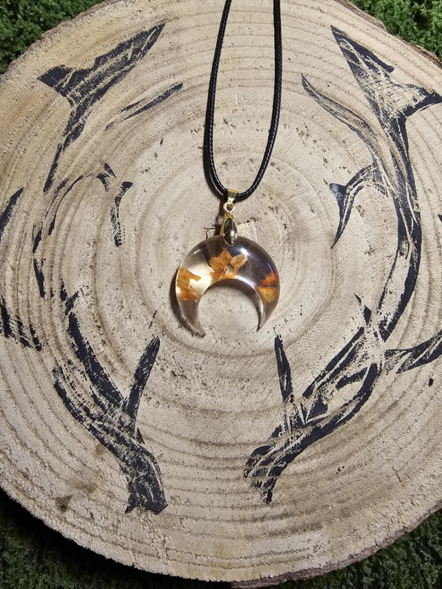 Lune &amp; pétales de tulipe orange