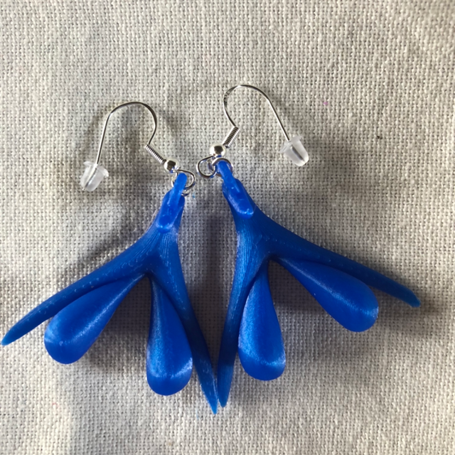 5- BO Clito bleu roi 