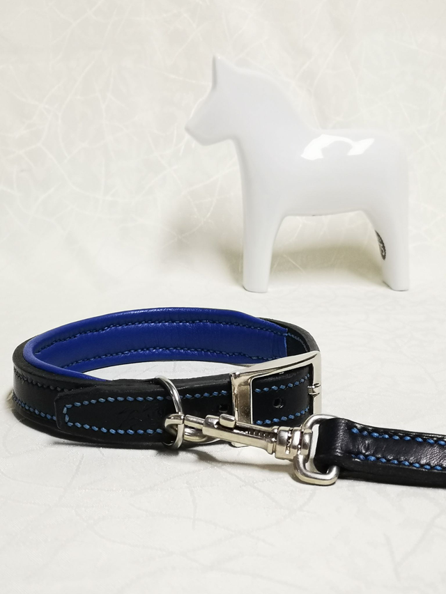 Ensemble &quot;Azur&quot; - collier pour chien et laisse