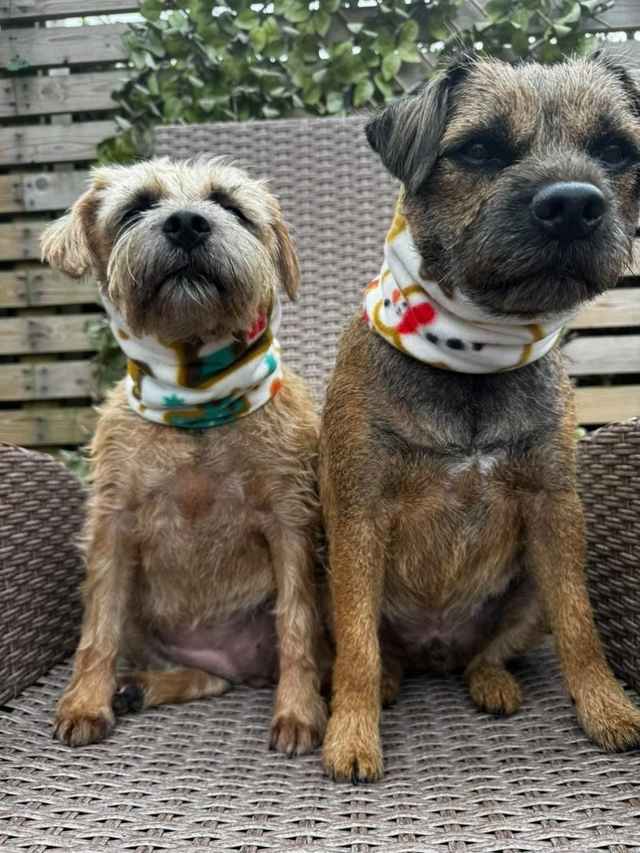 Christmas fleece snood