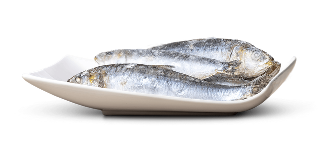 078 Sardine 1kg