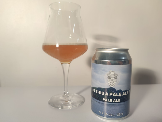 Is this a pale ale ? Pale Ale (canette)
