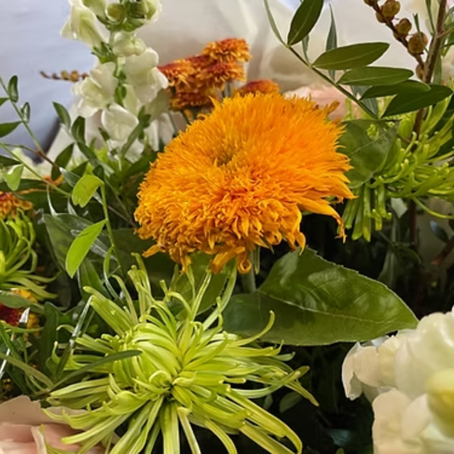 Florist&#039;s Choice