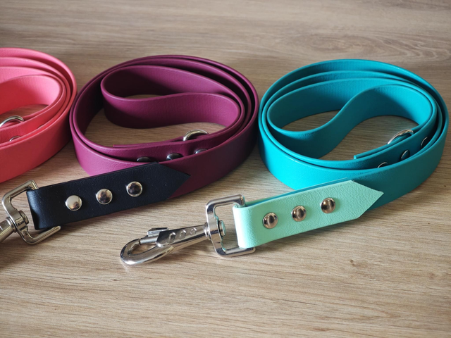 Laisse 25mm biothane de ~1,15m de longueur !