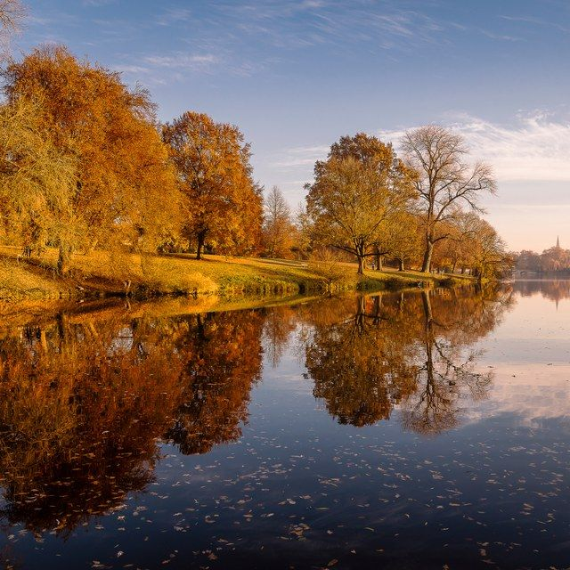 Herbstbäume im Aaseespiegel