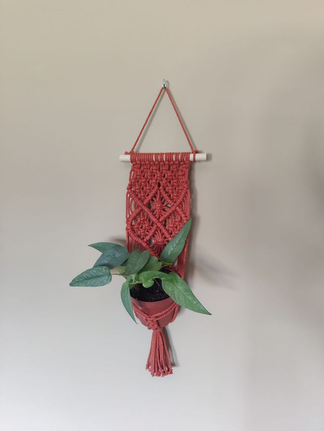 Suspension pour plantes - Orange - Pot moyen