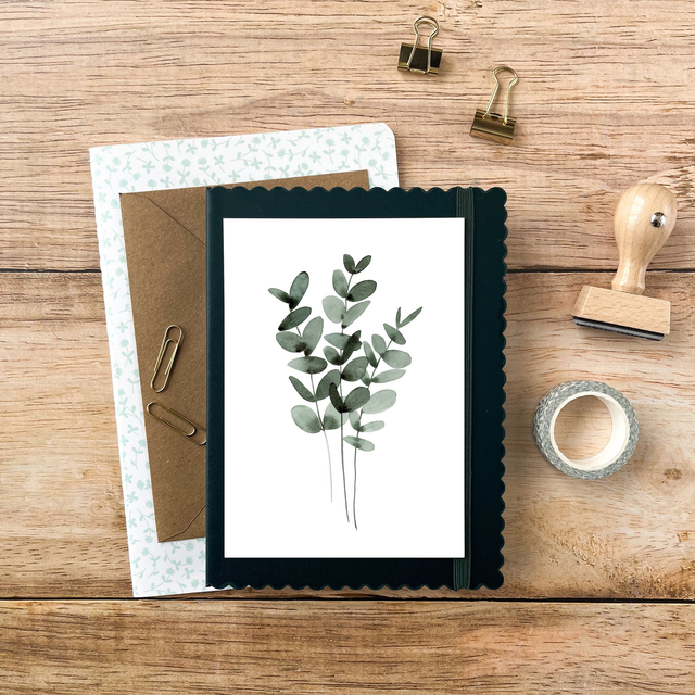 Carte postale Pulsion créative - Eucalyptus