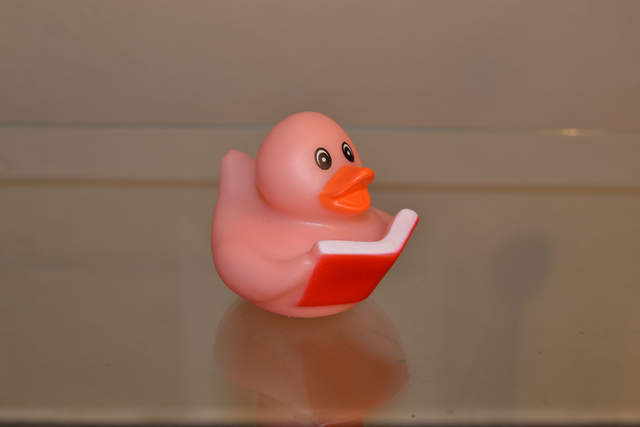 Canard pour le bain