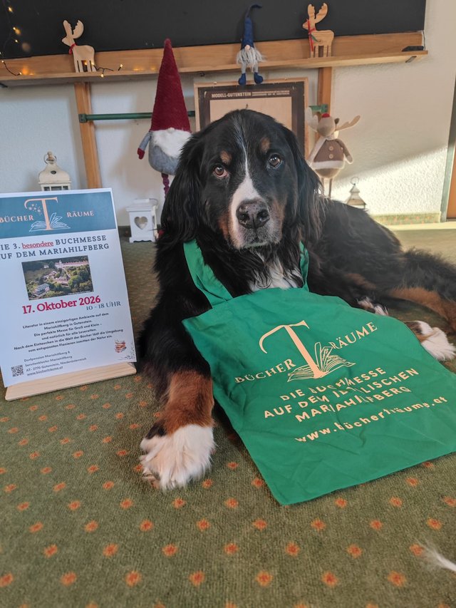 BÜCHER(T)RÄUME Tasche