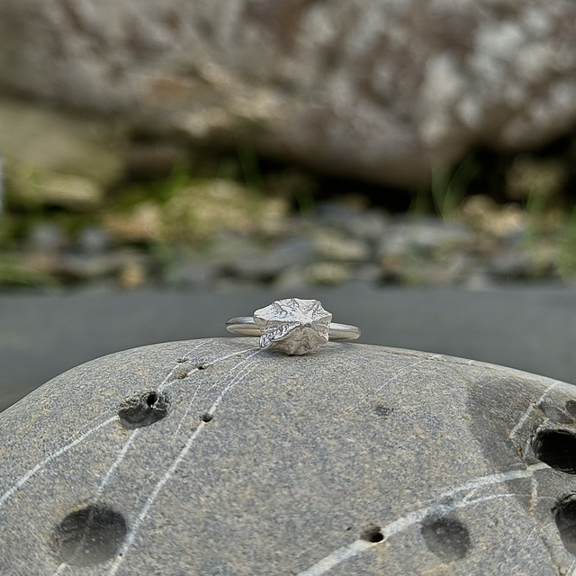 Silver Limpet Shell Ring
