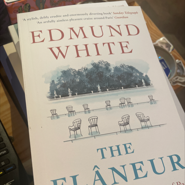 The Flaneur Edmund White