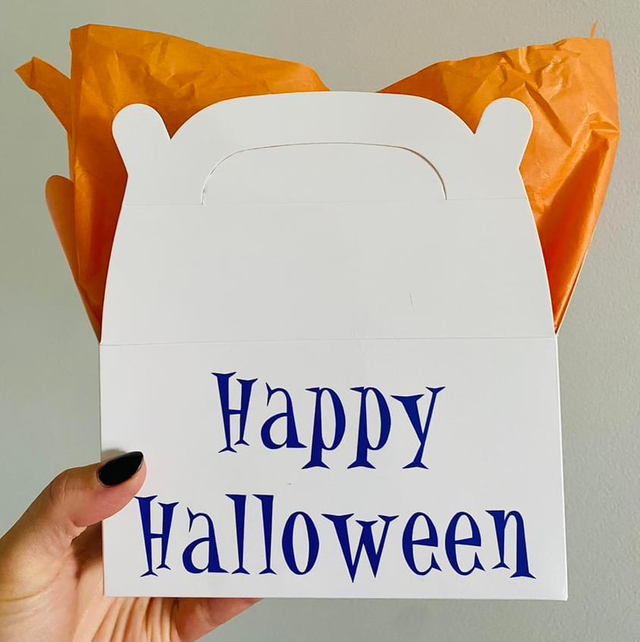 Gift Box - White Handle Box with tissue paper & ribbon