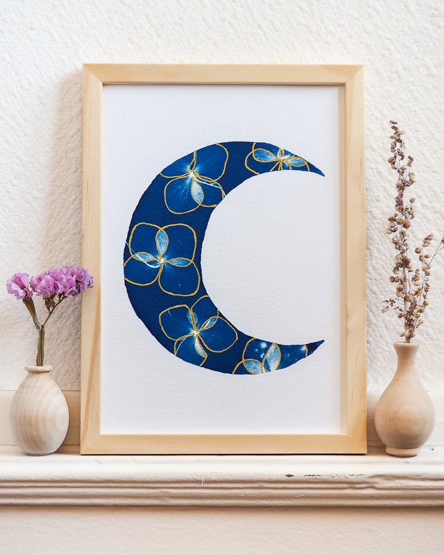 Clair de Lune (Hortensia doré)