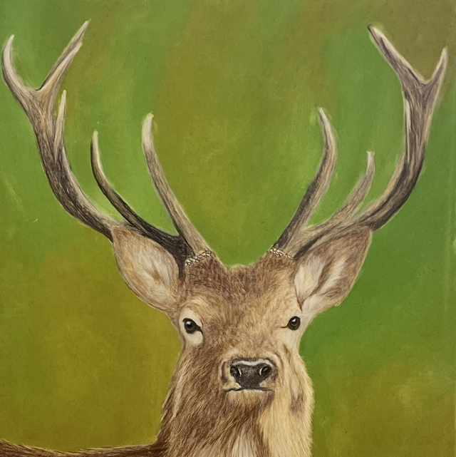 Stag on Green
