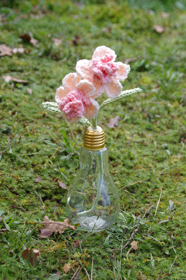 Fleurs roses dans leur vase ampoule