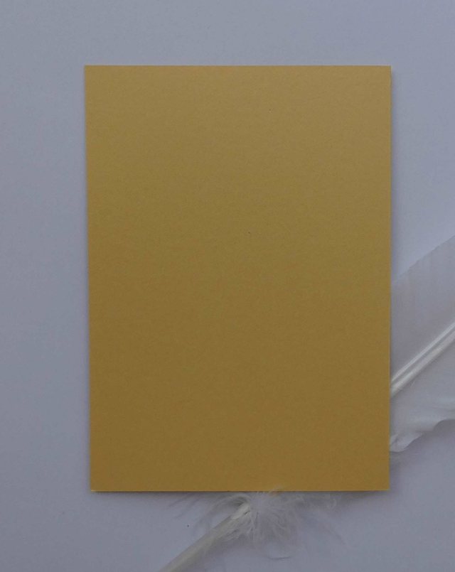 Un joyeux noël avec le père noël