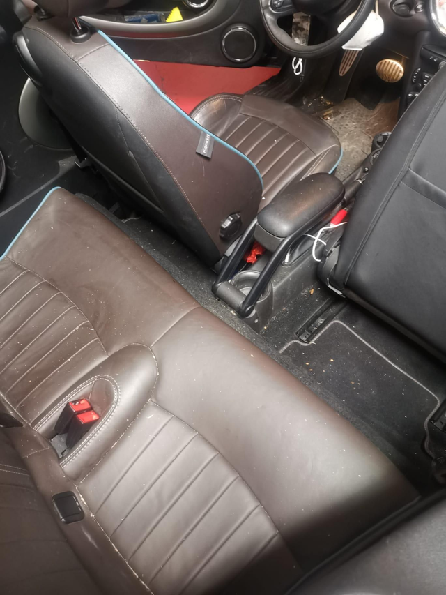 Lavaggi e lucidature interni con animali.