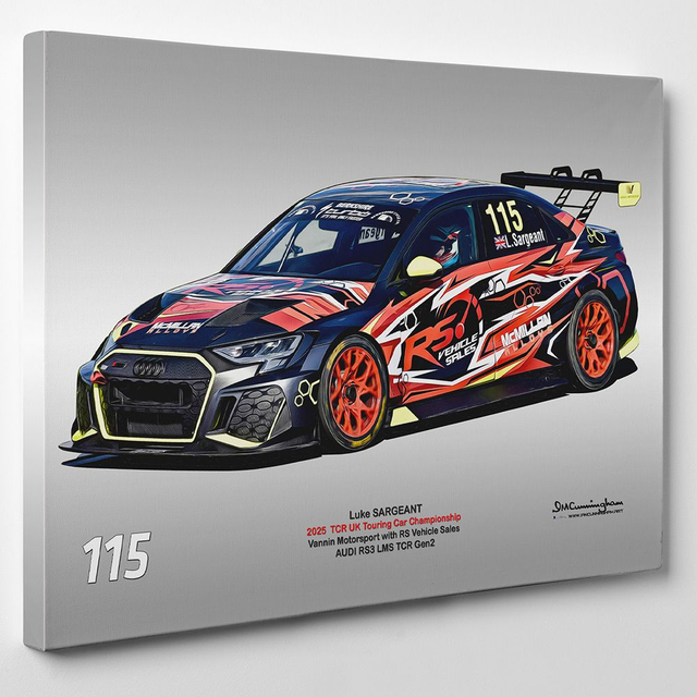 C250410 Audi RS3 LMS TCRUK 25 Vannin Motorsport #115 Luke Sargeant DNPK _ICA8156