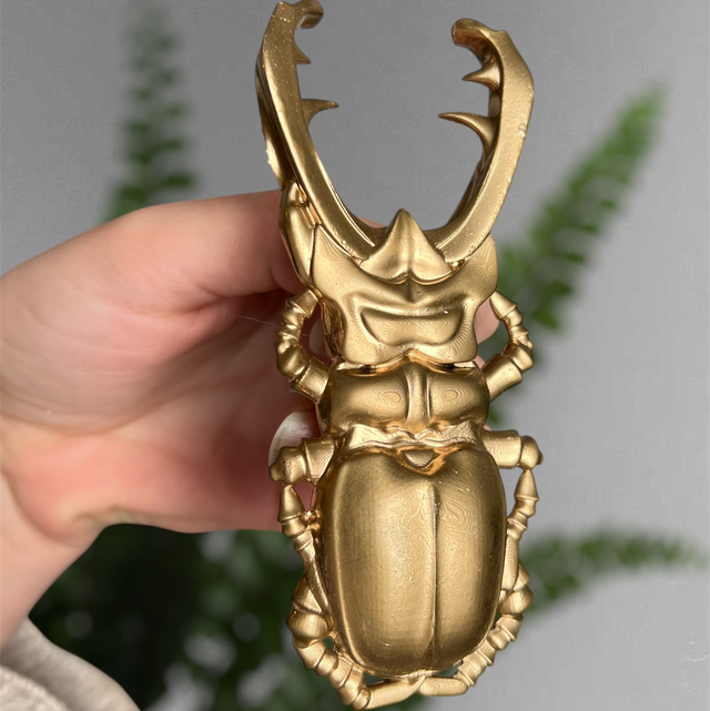 LUCANE - Scarabée lucane mural doré