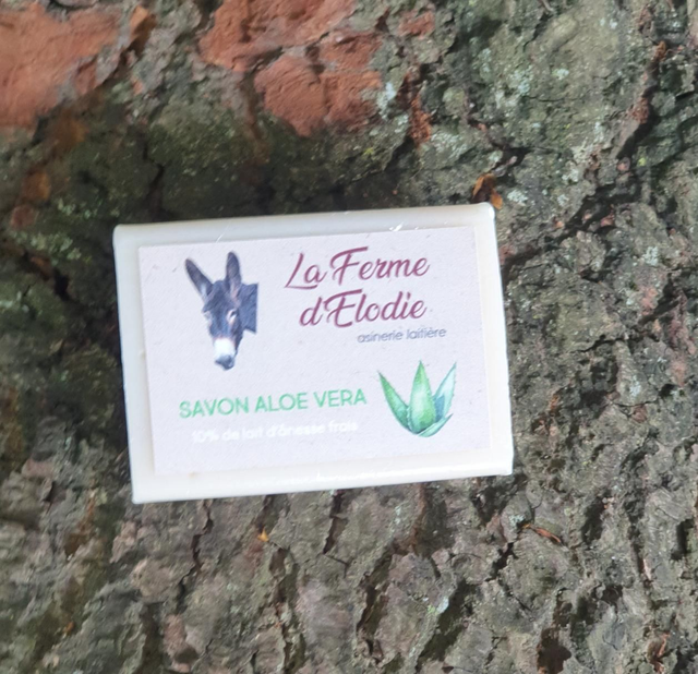 Savon ALOE VERA 