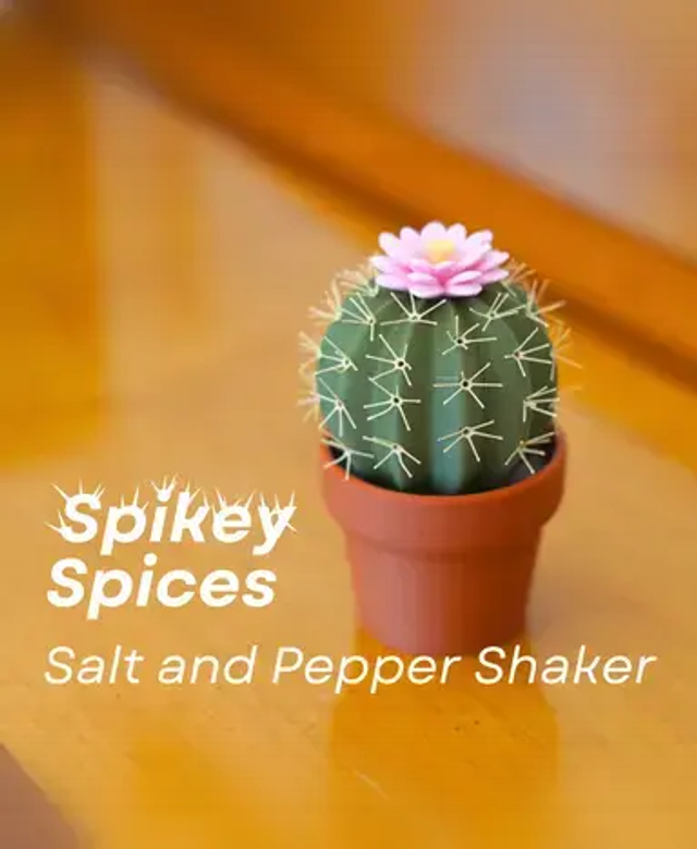 Cactus Sel et Poivre