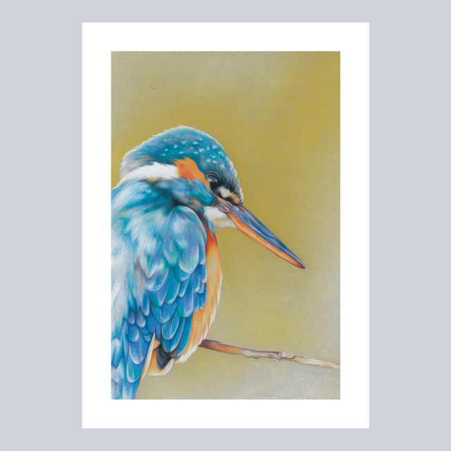 Reproductions - Martin Pêcheur N°1