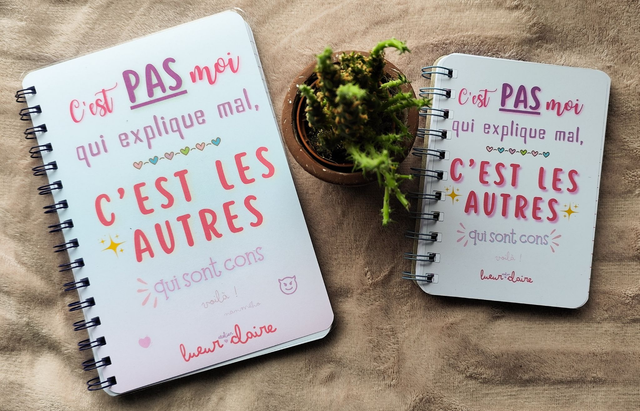 Carnet Explicit - C'est pas moi...