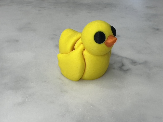 Duck