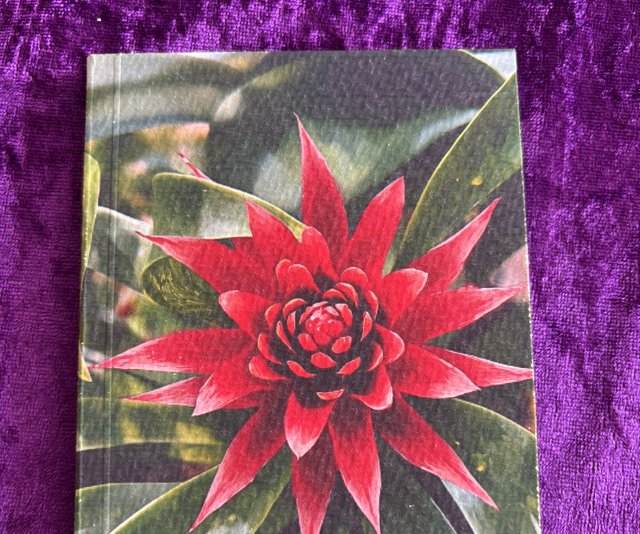 Lined Note Pad Red plant