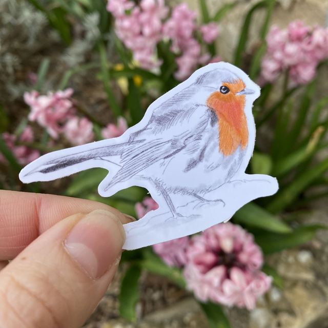 Sticker &quot;Rouge gorge&quot; I