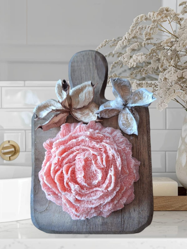 Amber SETJE ROOS COMPLEET