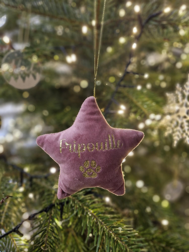 Suspension étoile de Noël