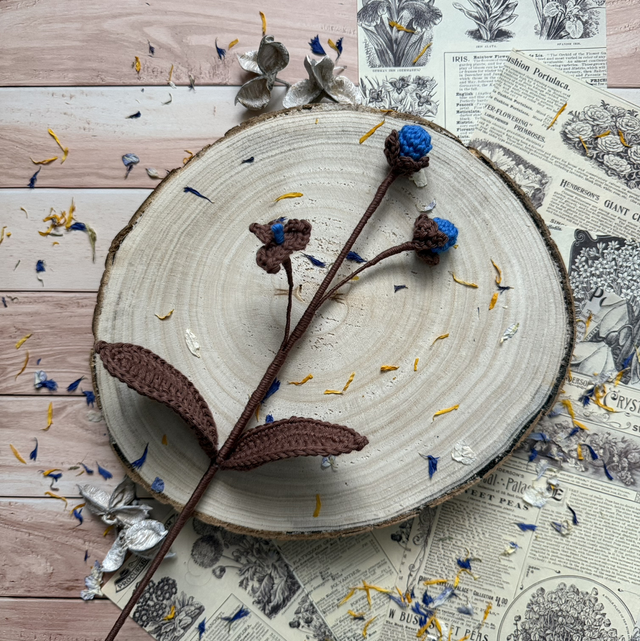 Feuillages d’androsace et ses bourgeons (personnalisable pour créer votre bouquet)