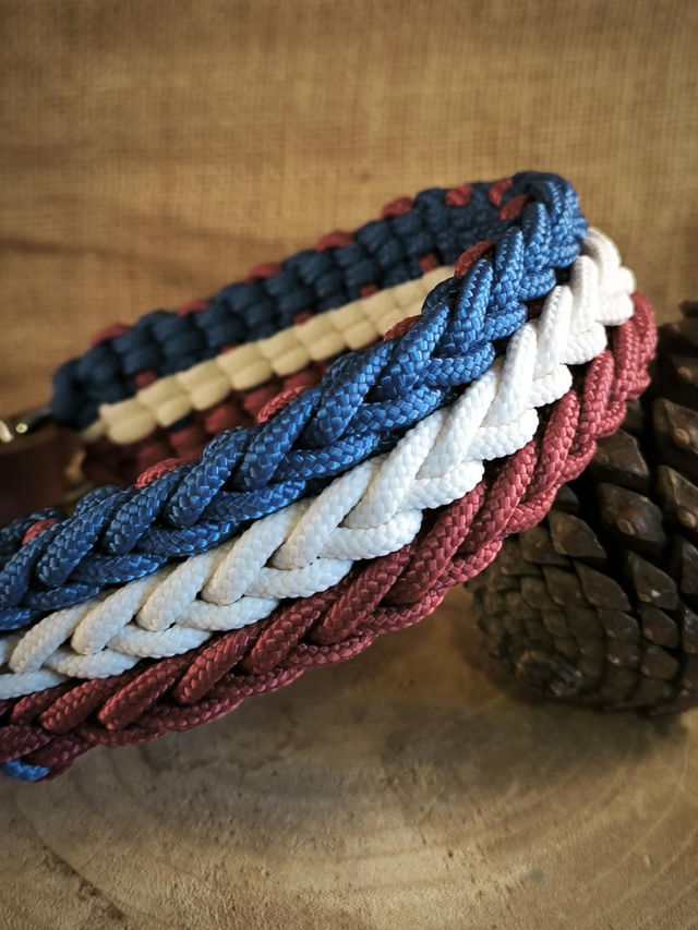 🇫🇷 Collier & laisse "Esprit Français"