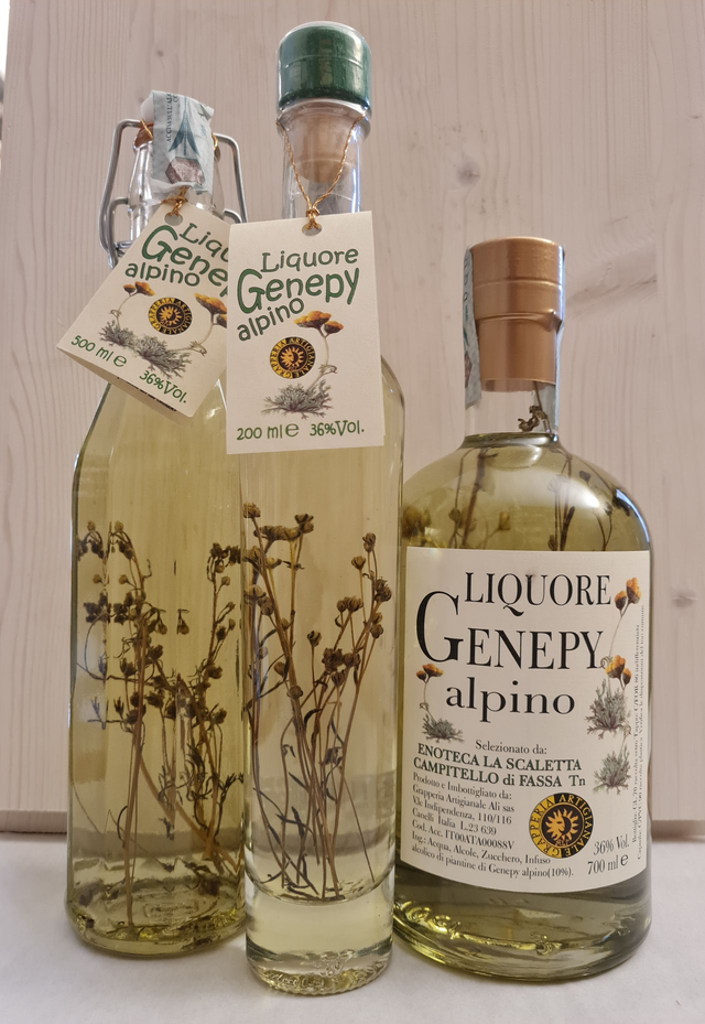 Genepy Pianta Noct Alì cl70