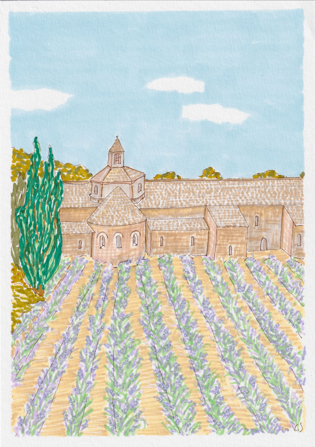 Champs de lavande en Provence