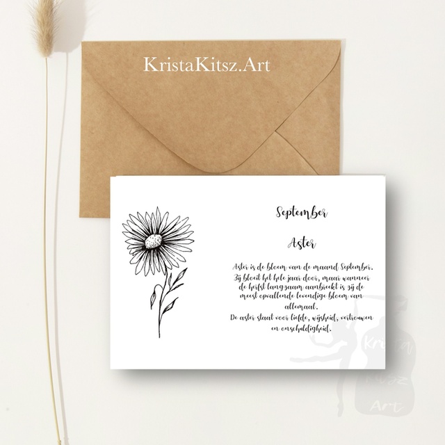 Ansichtkaart September Aster met tekst | inclusief envelop of postkaart | zwart wit tekening illustratie