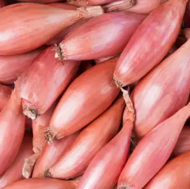 Échalote Bio - 5,90€/kg